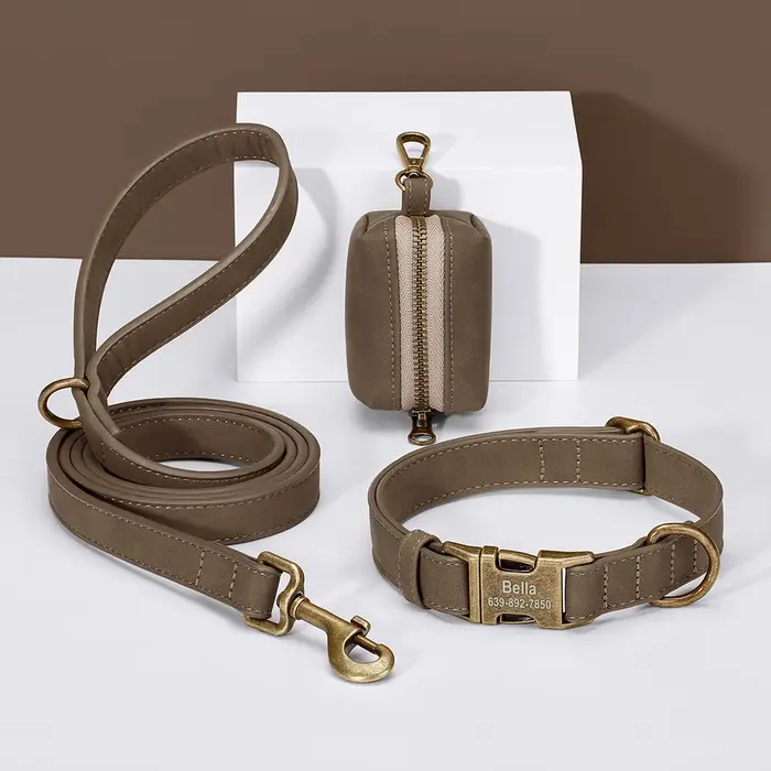 Ensemble de sacs de laisse de collier de chien personnalisés colliers