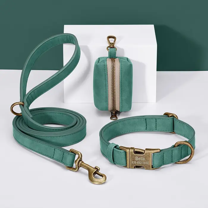 Ensemble de sacs de laisse de collier de chien personnalisés colliers de chien en cuir PU personnali