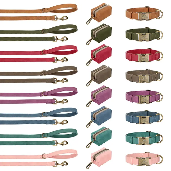 Ensemble de sacs de laisse de collier de chien personnalisés colliers