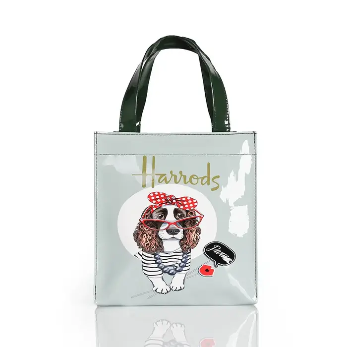 Sac à main étanche en PVC de petite taille, sac de Shopping de nouveau Style 2025, sac à bandoulière