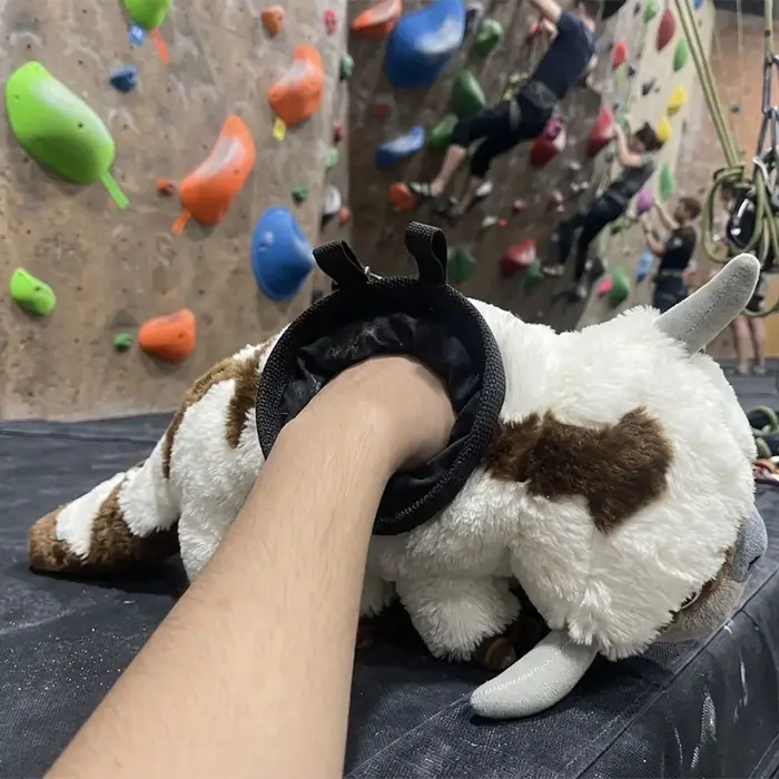Sac à craie Appa / Seau à craie adapté au bouldering