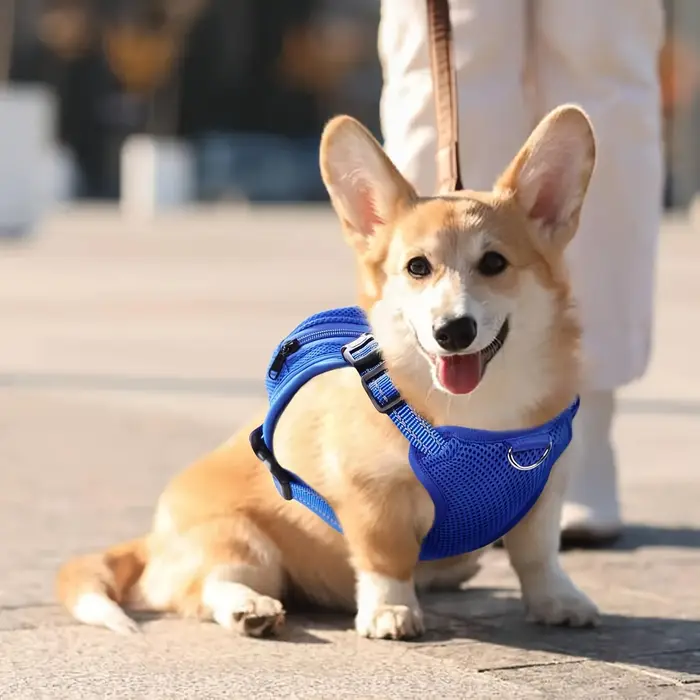 Sac à dos pour chien, harnais, sac à dos sans traction avec anneau en D pour petits et moyens chiens, mignon requin, auto-transportant pour animaux de compagnie, voyage réglable