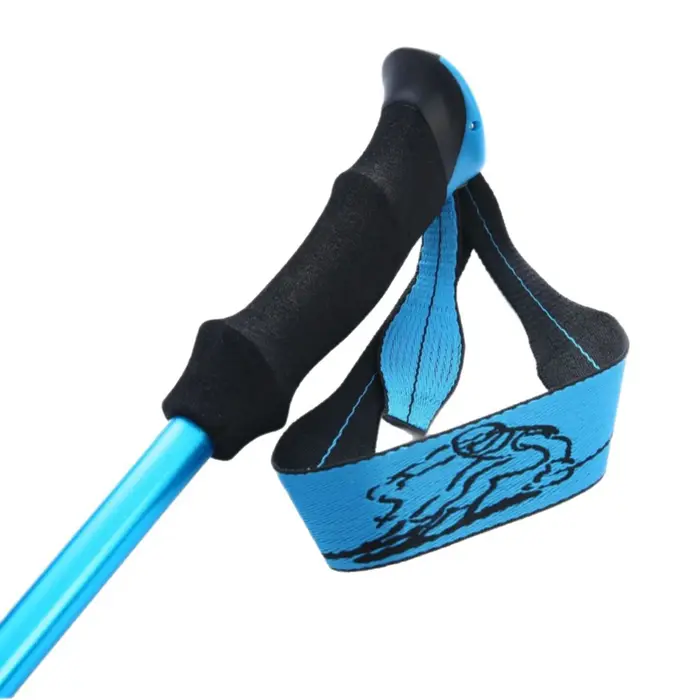 Bâtons de ski bâtons de randonnée réglables pour aventures en plein air Support de randonnée snowboard bâtons de marche robustes pour les montagnes