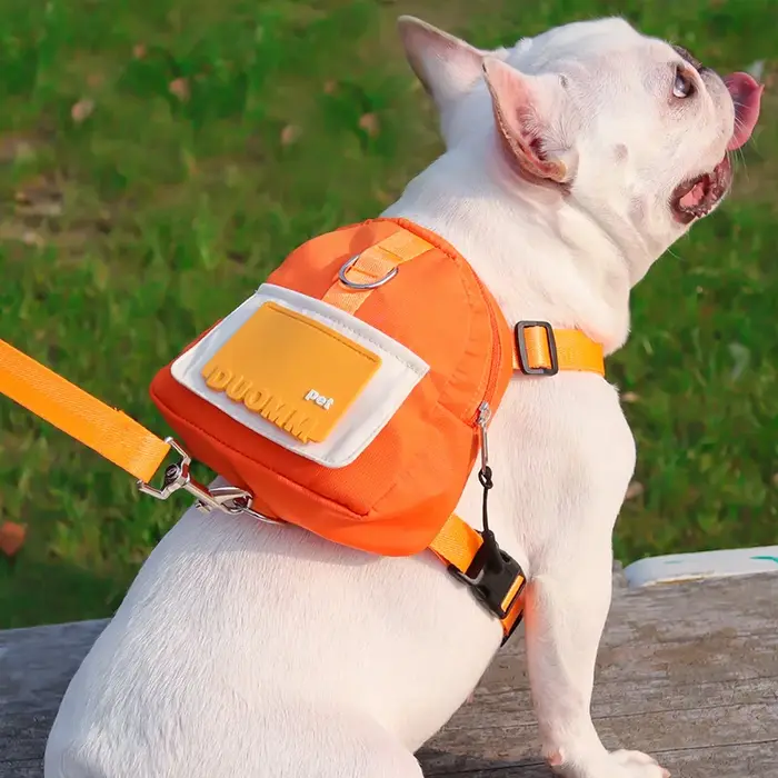 Harnais de sac à dos pour chien avec laisse, ensemble de harnais et laisse pour petits et moyens chiens, sac de collation pour chiot, sac à dos d'extérieur, accessoire pour chien
