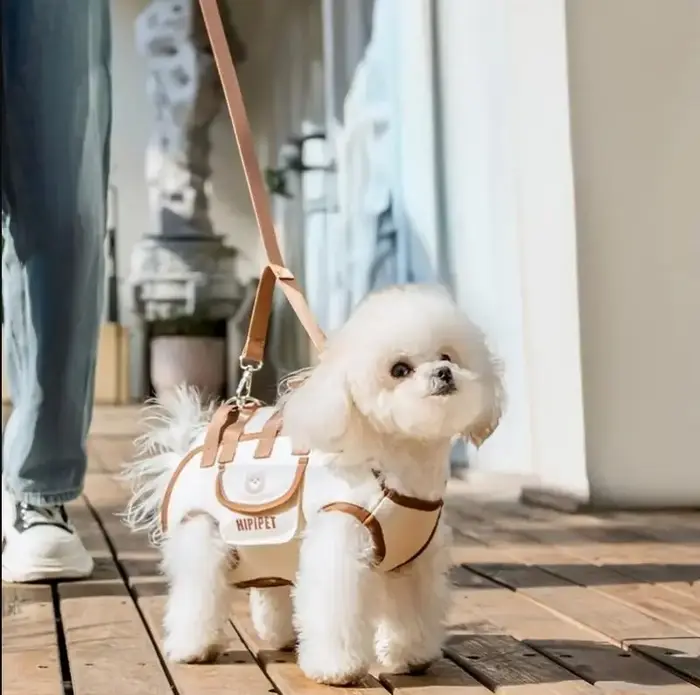 Sac à dos avec harnais pour chien, porte-animaux de compagnie pour petit chien, harnais de levage pour tout le corps, sac à bandoulière à forte charge pour chat