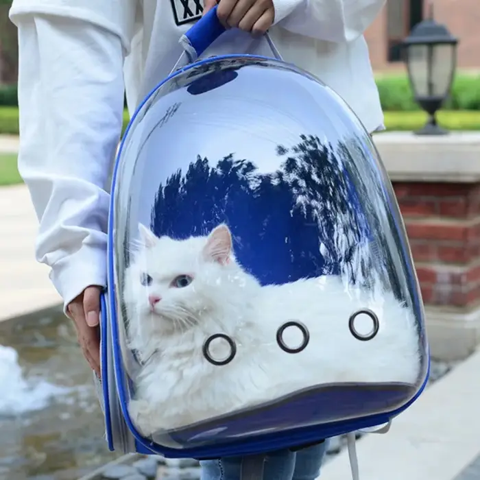 Capsule bulle sac à dos pour animaux de compagnie petit chat transporteur pour animaux de compagnie sac à dos Transparent Animal chiot Kitty oiseau respirant porte-animaux pour voyage