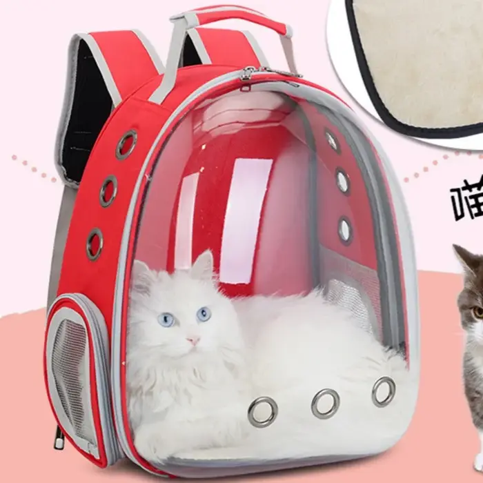 Capsule bulle sac à dos pour animaux de compagnie petit chat transporteur pour animaux de compagnie sac à dos Transparent Animal chiot Kitty oiseau respirant porte-animaux pour voyage