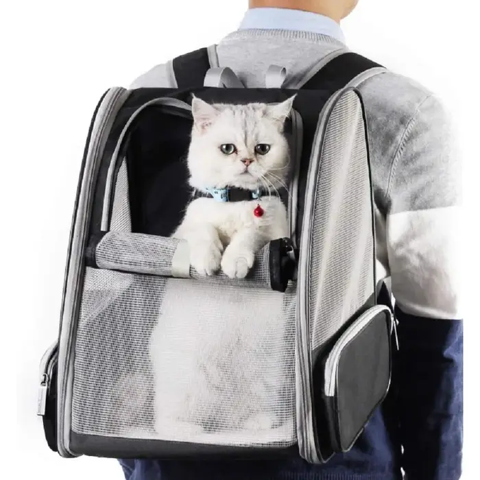 Sac à dos universel à bulles pour chiens et chats, transporteur de voyage portable avec design innovant, plusieurs couleurs disponibles
