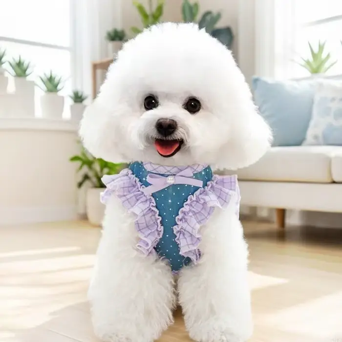 Harnais pour chien taille, pour petits chiens, sans traction, avec laisse, Clip réglable, boucles confortables 87HA