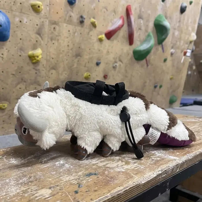 Sac à craie Appa / Seau à craie adapté au bouldering, à la gym, à l'escalade en intérieur et en exté
