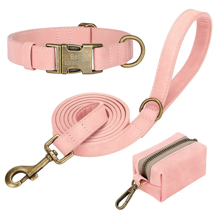 Ensemble de sacs de laisse de collier de chien personnalisés colliers