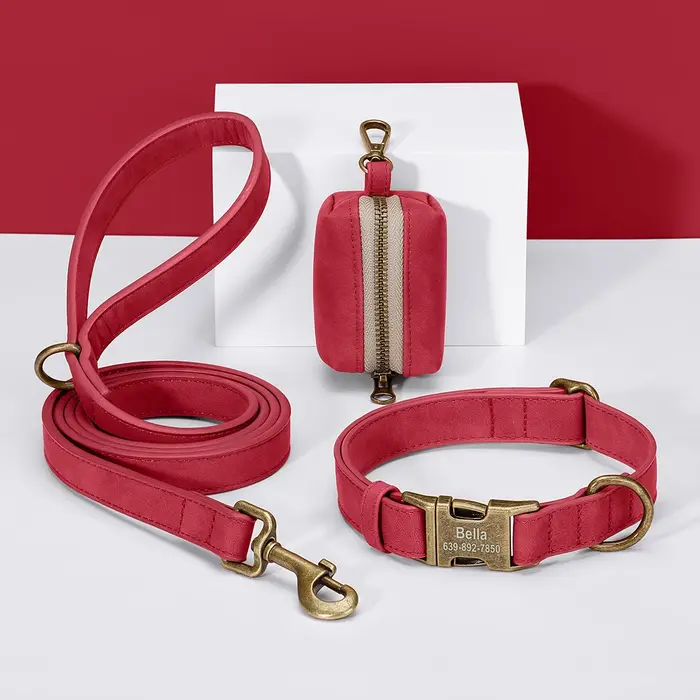 Ensemble de sacs de laisse de collier de chien personnalisés colliers